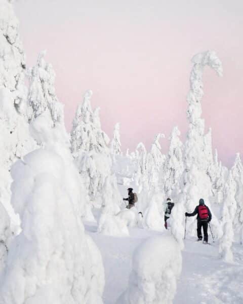 winter holiday in lapland magical forests