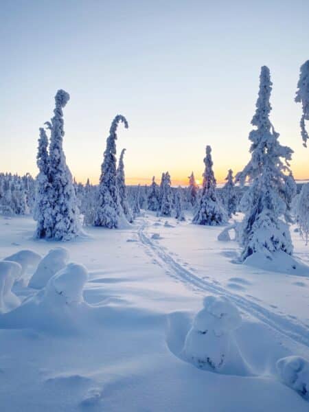 winter in lapland