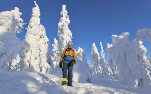 Arctic basecamp experience, Pihka Outdoors